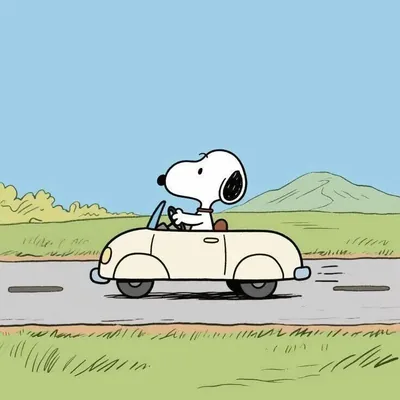 Driving a small white convertible on the road Snoopy Profile Picture