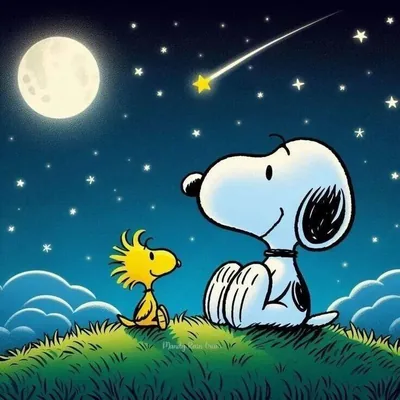 Woodstock and Snoopy Profile Picture watching a shooting star under the moon