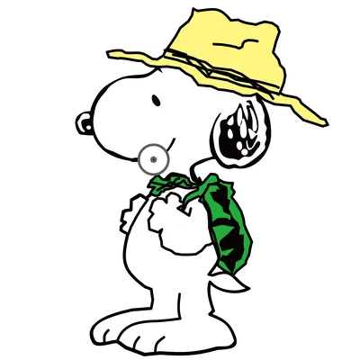 Snoopy and Peanuts PNG image