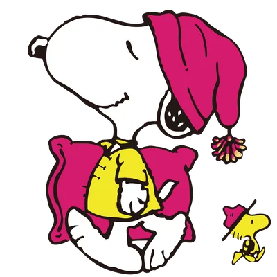 Bedtime Woodstock and nightcap-wearing sleepy Snoopy PNG Image