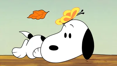 Snoopy lying down with a yellow butterfly on his head for PC Wallpaper