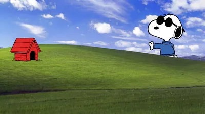 Snoopy wearing sunglasses on a scenic green hill for PC Wallpaper