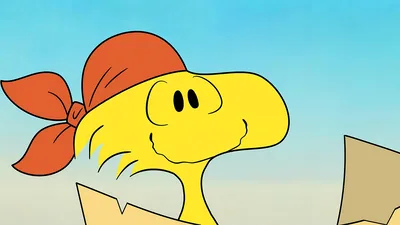 Woodstock wearing a red bandana looking cheerful for PC Wallpaper