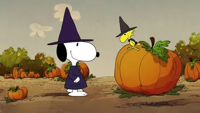 Halloween Snoopy and Woodstock in witch hats with pumpkins Wallpaper for PC